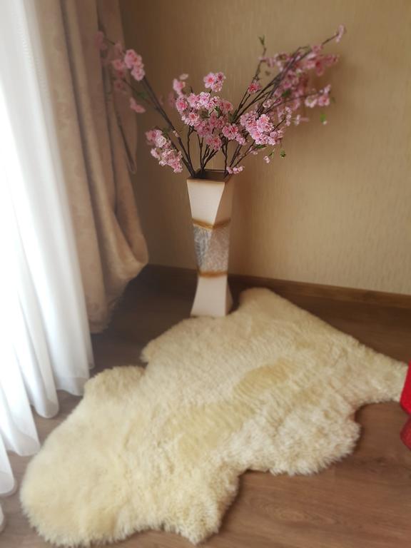 Riga Airport Apartment Luaran gambar